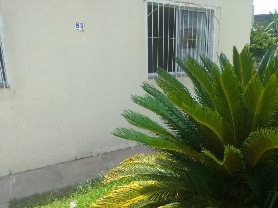 Casa Agradavel Em Camboriu Com Estacionamento No Patio Villa Buitenkant foto